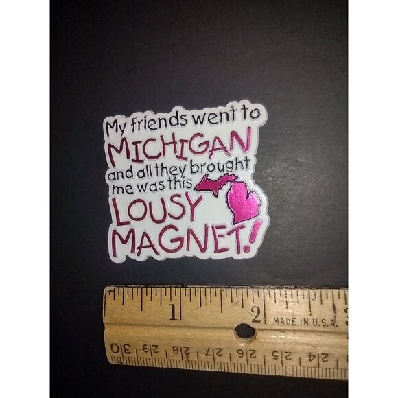 Michigan Friends All They Brought Me Was This Lousy‎ Magnet Travel Souvenir Gift - Picture 4 of 5